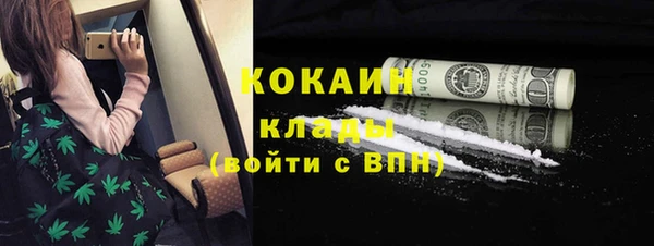 дурь Арсеньев