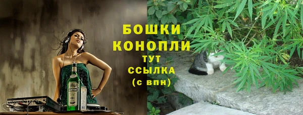 дурь Арсеньев
