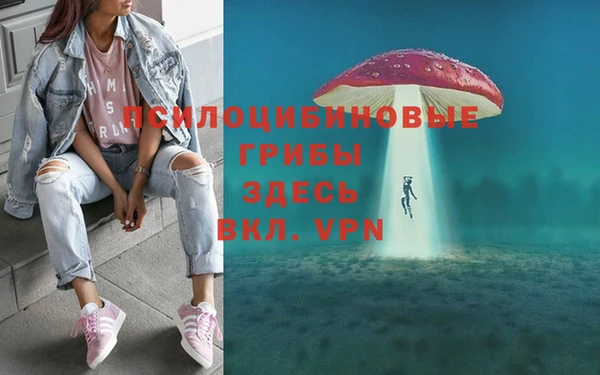 гашик Армянск