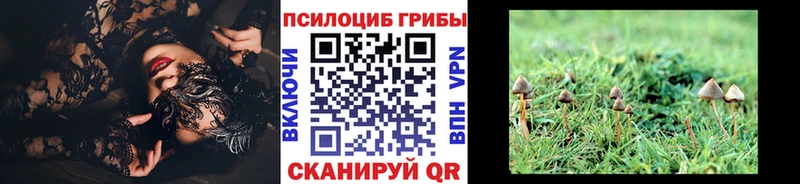 Галлюциногенные грибы Psilocybe  магазин продажи наркотиков  мега сайт  Спас-Деменск 