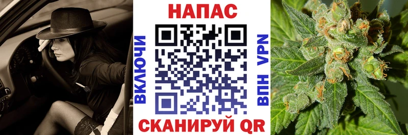купить наркотики цена  OMG как зайти  МАРИХУАНА SATIVA & INDICA  Спас-Деменск 
